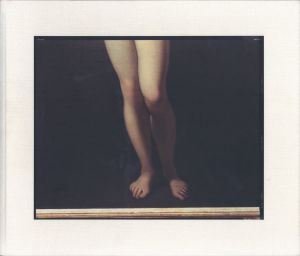 PICTURES OF PAINTINGS／リチャード・ミズラック／(PICTURES OF PAINTINGS / Richard Misrach　)のサムネール