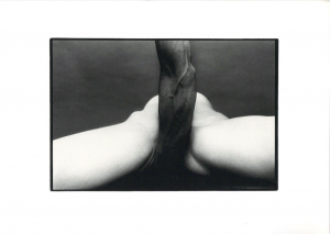 細江英公　展覧会のための写真集「抱擁」と「薔薇刑」／細江英公／(EIKOH HOSOE：Embrace and Ordeal By Roses / Eikoh Hosoe)のサムネール