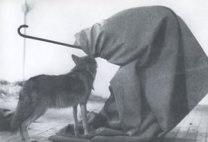 「Joseph Beuys　Coyote / Joseph Beuys」画像3
