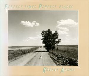 PERFECT TIMES　PERFECT PLACES／ロバート・アダムス／(PERFECT TIMES　PERFECT PLACES / Robert Adams)のサムネール