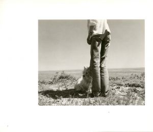 「PERFECT TIMES　PERFECT PLACES / Robert Adams」画像1