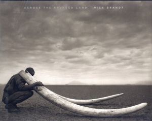 ACROSS THE RAVAGED LANDのサムネール
