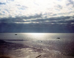 「BAY / SKY / Author: Joel Meyerowitz　Foreword: Norman Mailer」画像1