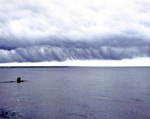「BAY / SKY / Author: Joel Meyerowitz　Foreword: Norman Mailer」画像4