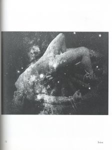 「George Platt Lynes Photographs 1931-1955 / George Platt Lynes」画像3