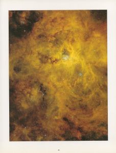 「ANDREAS GURSKY / Photo: Andreas Gursky　Edit: Thomas Weski」画像2