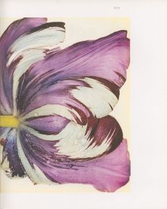 「IRVING PENN　OBJECTS FOR THE PRINTED PAGE / 写真：アーヴィング・ペン」画像2