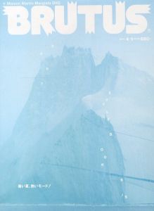 BRUTUS STYLEBOOK 2007S/S / 編：石渡健文