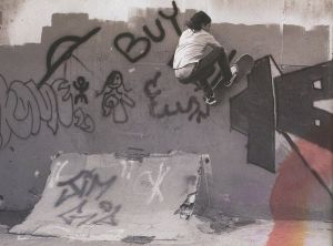 「STAY GOLD　An Inside Look at the Life of the Emerica Team 2000-2010 / Photo: Ed Templeton, Michael Burnett, Mike O'Meally, Atiba Jefferson」画像6