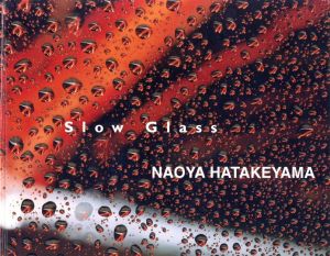 Slow Glass／畠山直哉／(Slow Glass / Naoya Hatakeyama)のサムネール