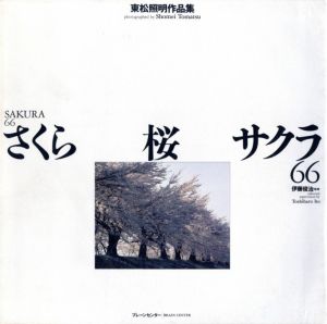 さくら・桜・サクラ66／著：東松照明　監修：伊藤俊治／(SAKURA 66 / Author: Shomei Tomatsu　Supervision: Toshiharu Ito)のサムネール