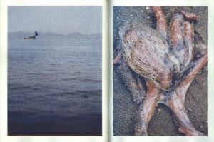 「TAKO / ニルス・エドストローム」画像6