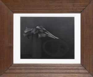 Calla Liliesのサムネール