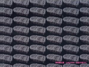 草間彌生展　Labyrinth-迷宮の彼方に／草間彌生／(The exhibition of Yayoi Kusama-Beyond the Labyrinth / Yayoi Kusama)のサムネール