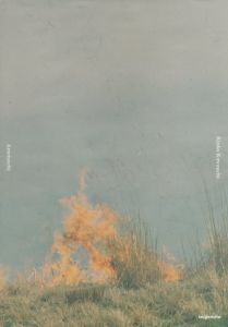 あめつち／川内倫子／(Ametsuchi / Rinko Kawauchi)のサムネール