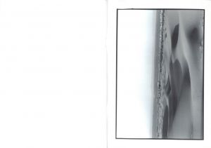 「Stil Life / Yuri Shibuya」画像4