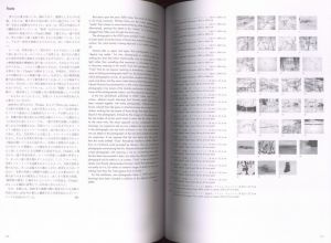 「ホンマタカシ　ニュー・ドキュメンタリー / 写真：ホンマタカシ　文：椹木野衣、エレン・フライス」画像7
