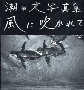 風に吹かれて / 潮田文