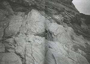 「Ari Marcopoulos　Enough / Ari Marcopoulos」画像3