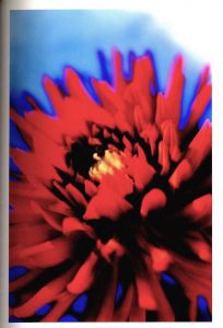 「Acid Bloom / Mika Ninagawa」画像1