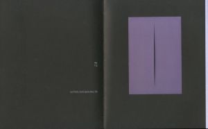 「COLOUR in Contextual Play: Joseph Kosuth and Arte Povera / Curation: Cornelia Lauf」画像8