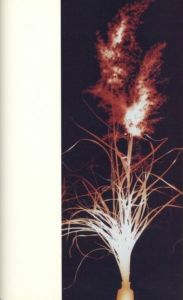 「KWANGHO CHOI 【PHOTOGRAM】GIFT / Kwangho Choi」画像7