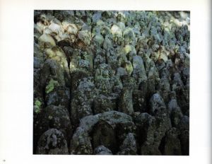 「ヴィム＆ドナータ ヴェンダース 写真展 尾道への旅 / ヴィム・ヴェンダース、ドナータ・ヴェンダース」画像2