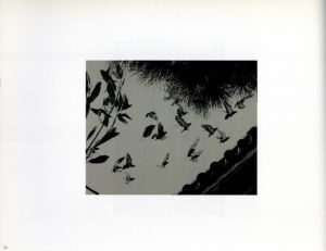 「ヴィム＆ドナータ ヴェンダース 写真展 尾道への旅 / ヴィム・ヴェンダース、ドナータ・ヴェンダース」画像4