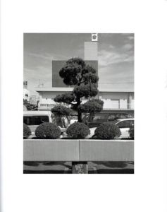 「Ehime / ゲリー・ヨハンソン」画像7