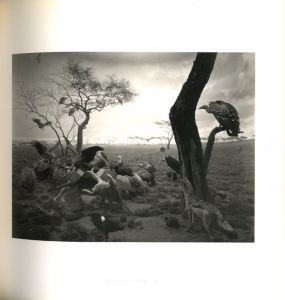 「HIROSHI SUGIMOTO / 杉本博司」画像1
