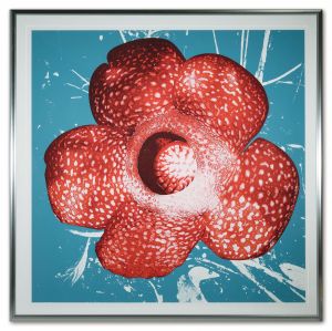 Daido MORIYAMA "Rafflesia (R-red)"のサムネール