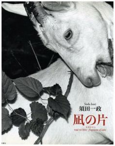 凪の片／写真：須田一政　文：鈴木一誌／(nagi no hira - fragments of calm / Photo: Issei Suda　Text: Hitoshi Suzuki)のサムネール