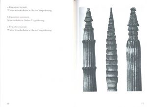 「Urformen der Kunst: Die bibliophilen Taschenbucher / Karl Blossfeldt」画像2