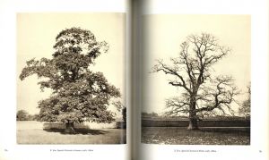 「Photography Until Now / John Szarkowski」画像1
