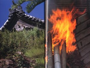 「Documentary / 中平卓馬」画像1