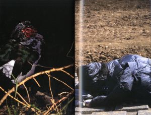 「Documentary / 中平卓馬」画像6