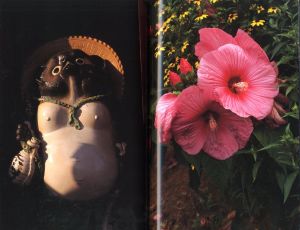 「Documentary / 中平卓馬」画像12