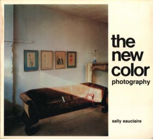the new color photography／サリー・オークレア／(the new color photography / Sally Eauclaire)のサムネール