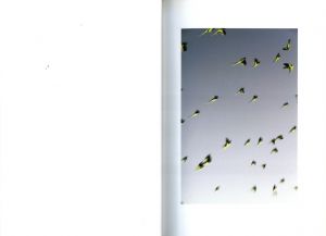 「TOKYO PARROTS / 水谷吉法」画像2