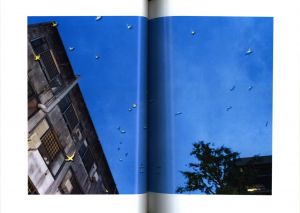 「TOKYO PARROTS / 水谷吉法」画像6