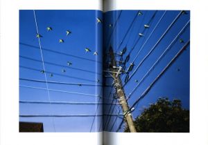 「TOKYO PARROTS / 水谷吉法」画像7