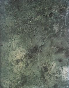 「Geography / 佐藤慎太郎」画像2