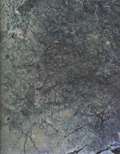 「Geography / 佐藤慎太郎」画像4