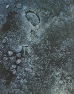 「Geography / 佐藤慎太郎」画像5