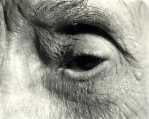 「Pictures of People / Nicholas Nixon」画像5