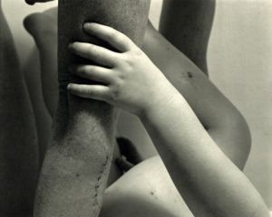 「Pictures of People / Nicholas Nixon」画像6
