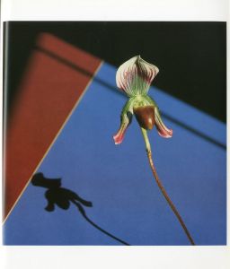 「Flowers / Author: Robert Mapplethorpe　Foreword: Patti Smith　Design: Dimitri Levas」画像2