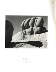 「Edward Weston 1886-1958 / Photo:Edward Weston　Text:Terence Pitts」画像4