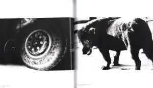 「daido MORIYAMA: stray dog / Daido Moriyama」画像2