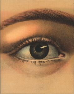 JOHN DERIAN: PICTURE BOOK / John Derian
